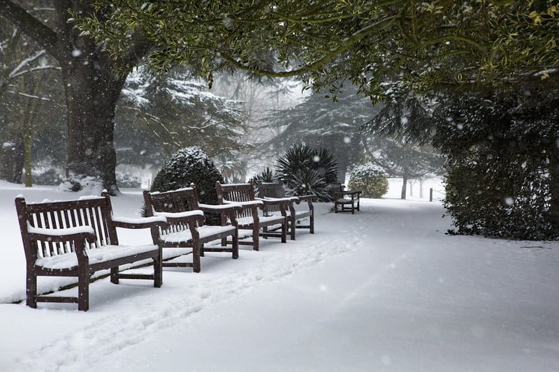 Wooden Benches